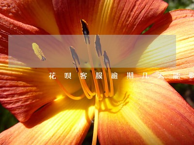 花呗客服逾期几天能恢复 花呗客服逾期几天能恢复