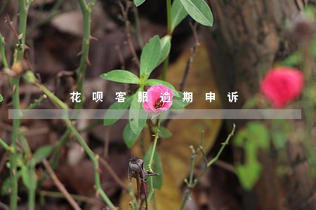 花呗客服逾期申诉 花呗客服逾期申诉