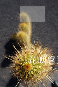 花呗客逾期三天内 花呗客逾期三天内