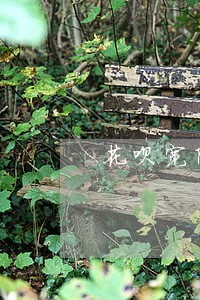 花呗宽限期怎么显示逾期 花呗宽限期怎么显示逾期