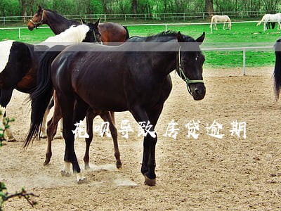 花呗导致房贷逾期 花呗导致房贷逾期