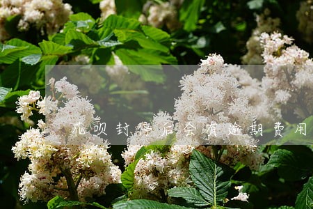 花呗封停后会有逾期费用吗 花呗封停后会有逾期费用吗