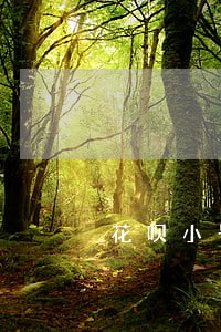 花呗小号逾期如何不提示大号