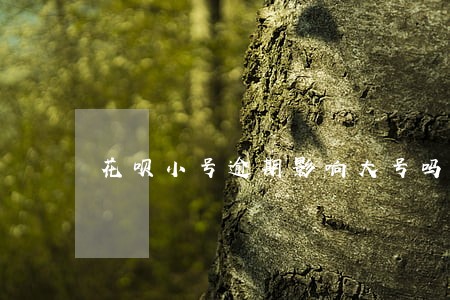 花呗小号逾期影响大号吗 花呗小号逾期影响大号吗