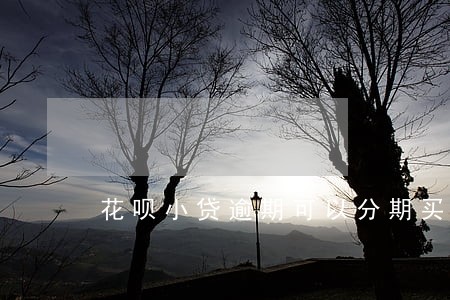 花呗小贷逾期可以分期买车吗 花呗小贷逾期可以分期买车吗