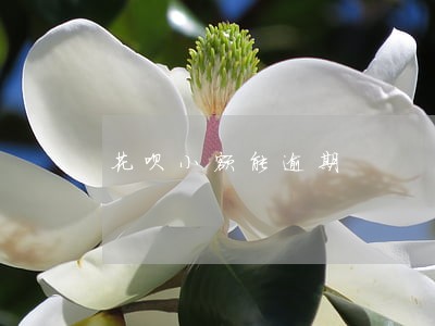 花呗小额能逾期