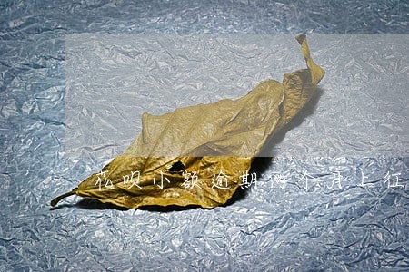 花呗小额逾期两个月上征信吗