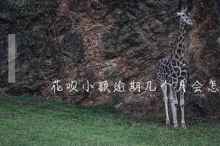 花呗小额逾期几个月会怎么样 花呗小额逾期几个月会怎么样