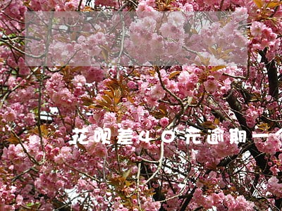 花呗差40元逾期一个月 花呗差40元逾期一个月