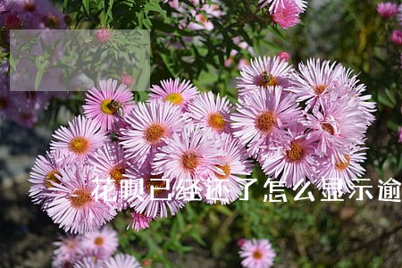 花呗已经还了怎么显示逾期 花呗已经还了怎么显示逾期