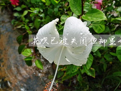 花呗已被关闭但却显示逾期 花呗已被关闭但却显示逾期