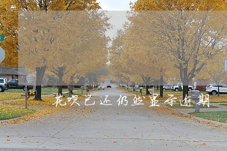 花呗已还仍然显示逾期