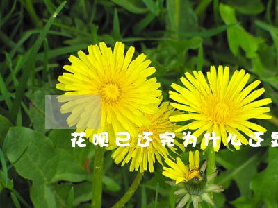 花呗已还完为什么还显示逾期行为 花呗已还完为什么还显示逾期行为