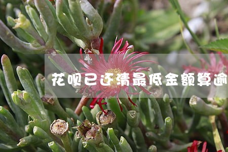 花呗已还清最低金额算逾期吗 花呗已还清最低金额算逾期吗