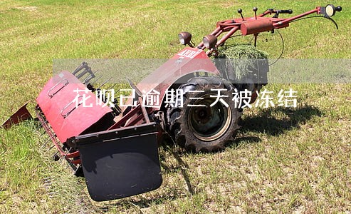 花呗已逾期三天被冻结 花呗已逾期三天被冻结