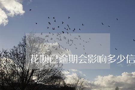 花呗已逾期会影响多少信用 花呗已逾期会影响多少信用