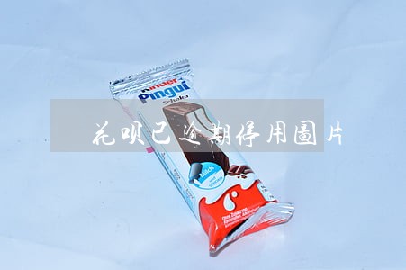 花呗已逾期停用图片 花呗已逾期停用图片
