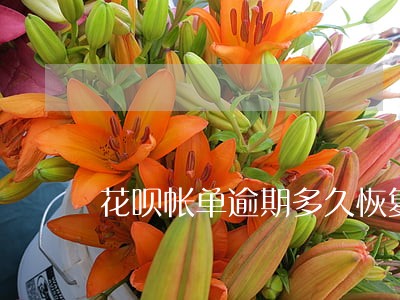 花呗帐单逾期多久恢复 花呗帐单逾期多久恢复