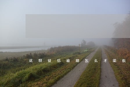 花呗征信逾期怎么才能恢复 花呗征信逾期怎么才能恢复