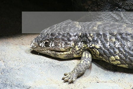 花呗征信逾期记录怎么消除 花呗征信逾期记录怎么消除