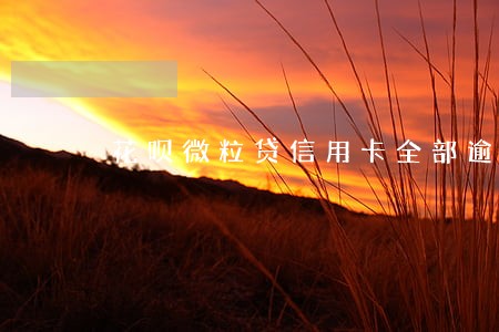花呗微粒贷信用卡全部逾期 花呗微粒贷信用卡全部逾期
