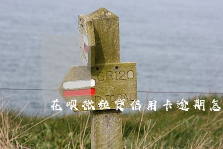 花呗微粒贷信用卡逾期怎么办 花呗微粒贷信用卡逾期怎么办