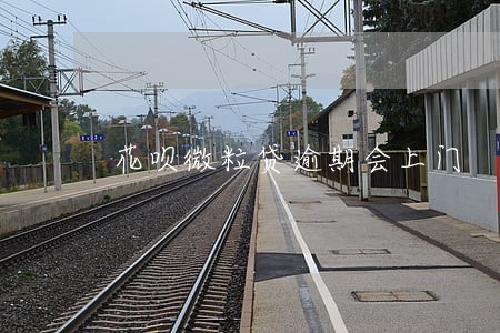 花呗微粒贷逾期会上门 花呗微粒贷逾期会上门