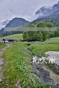 花呗微贷产品逾期怎么解除 花呗微贷产品逾期怎么解除