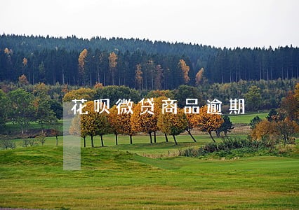 花呗微贷商品逾期 花呗微贷商品逾期