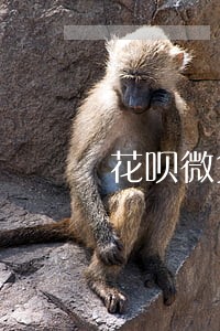 花呗微贷逾期严重吗 花呗微贷逾期严重吗