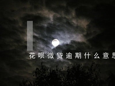 花呗微贷逾期什么意思 花呗微贷逾期什么意思