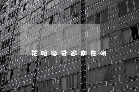 花呗微贷逾期在哪