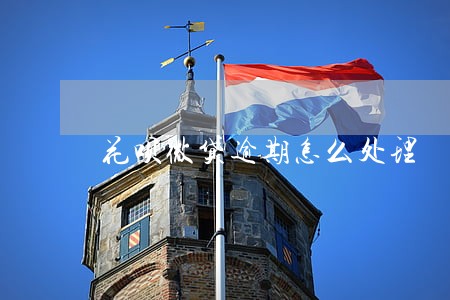 花呗微贷逾期怎么处理 花呗微贷逾期怎么处理