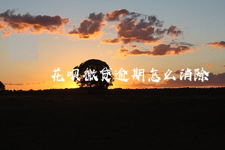 花呗微贷逾期怎么消除