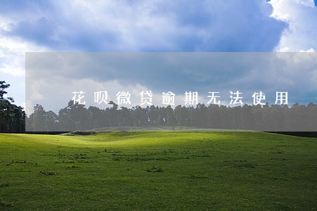 花呗微贷逾期无法使用 花呗微贷逾期无法使用