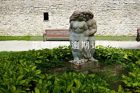花呗微贷逾期记录吗 花呗微贷逾期记录吗
