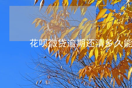 花呗微贷逾期还清多久能用 花呗微贷逾期还清多久能用