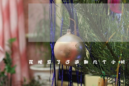 花呗忘了还逾期几个小时怎么办 花呗忘了还逾期几个小时怎么办