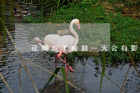 花呗忘了逾期一天会有影响吗