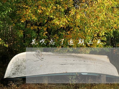 花呗忘了逾期三天 花呗忘了逾期三天