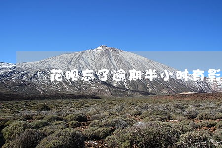 花呗忘了逾期半小时有影响吗 花呗忘了逾期半小时有影响吗