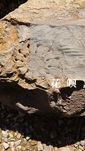 花呗忘记还款导致逾期怎么解决 花呗忘记还款导致逾期怎么解决
