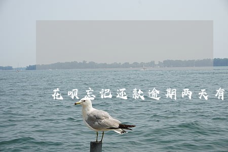 花呗忘记还款逾期两天有影响 花呗忘记还款逾期两天有影响