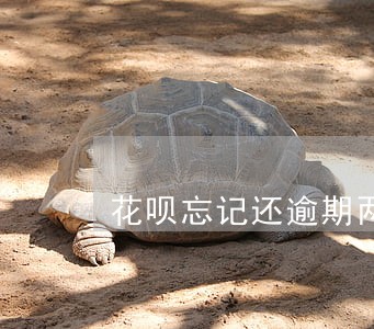 花呗忘记还逾期两天 花呗忘记还逾期两天
