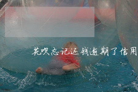 花呗忘记还钱逾期了信用会影响吗 花呗忘记还钱逾期了信用会影响吗