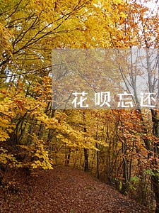 花呗忘还了逾期了四天 花呗忘还了逾期了四天