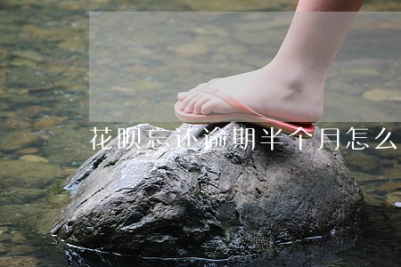 花呗忘还逾期半个月怎么办 花呗忘还逾期半个月怎么办