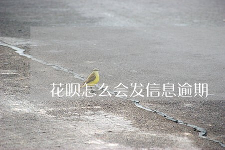 花呗怎么会发信息逾期 花呗怎么会发信息逾期