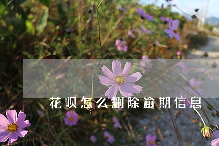 花呗怎么删除逾期信息 花呗怎么删除逾期信息