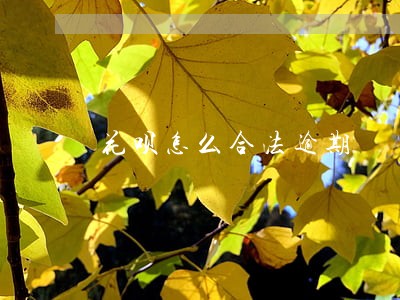 花呗怎么合法逾期 花呗怎么合法逾期